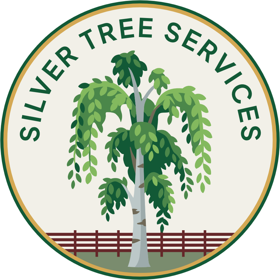Silver Tree Services logo